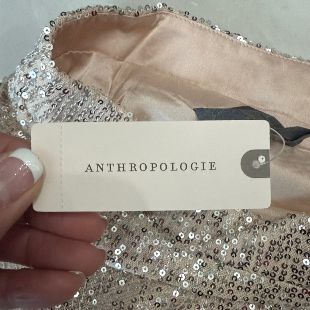 ANTHROPOLOGIE Sunday in Brooklyn Sparkling BLUSH A-Line Skirt - Picture 8 of 12